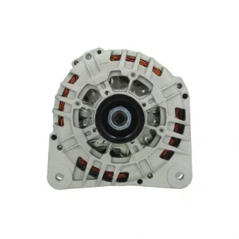 Alternateur BV PSH 575.542.120.004