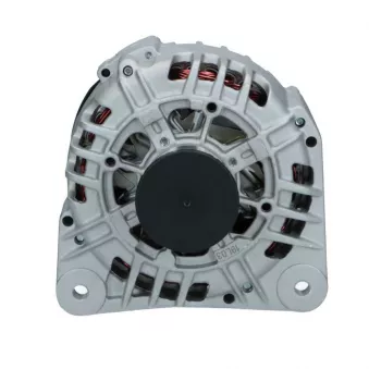 Alternateur BV PSH 575.560.125.008