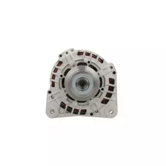 Alternateur BV PSH 575.560.125.208