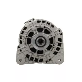Alternateur BV PSH 575.560.125.969