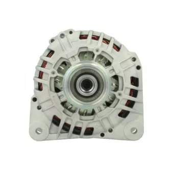 Alternateur BV PSH 575.561.125.000