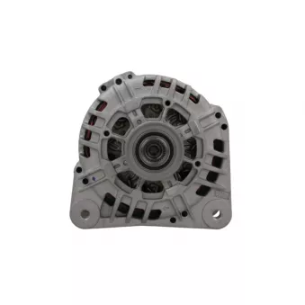 Alternateur BV PSH 575.563.125.501