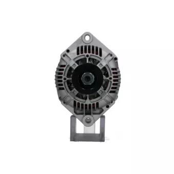 Alternateur BV PSH 575.564.120.008