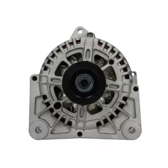 Alternateur BV PSH 575.577.110.000