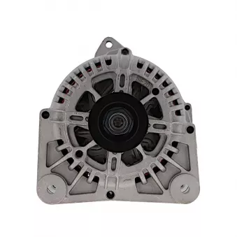 Alternateur BV PSH 575.577.110.008