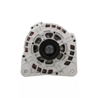 Alternateur BV PSH 575.583.125.008
