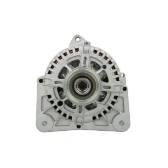 Alternateur BV PSH 575.593.110.004