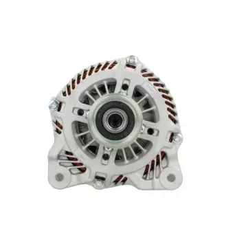 Alternateur BV PSH 575.901.210.370