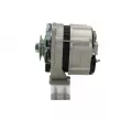 Alternateur BV PSH 586.002.035.312 - Visuel 2