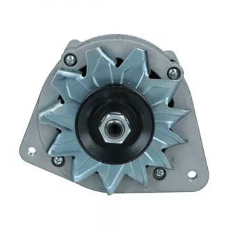 Alternateur BV PSH 595.001.055.018