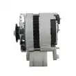 Alternateur BV PSH 595.001.055.100 - Visuel 2