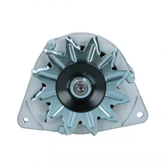 Alternateur BV PSH 595.001.055.108