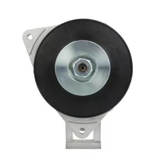 Alternateur BV PSH 595.001.055.380