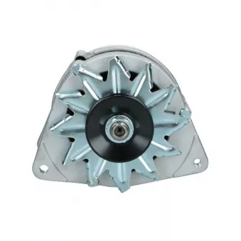 Alternateur BV PSH 595.002.055.109