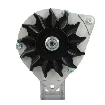 Alternateur BV PSH 595.002.055.320
