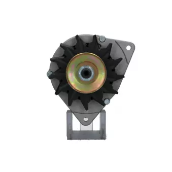 Alternateur BV PSH 595.002.055.325
