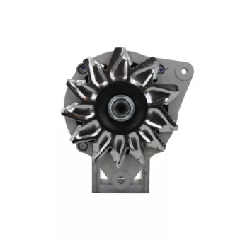 Alternateur BV PSH 595.002.065.090