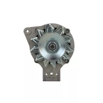 Alternateur BV PSH 595.004.065.311