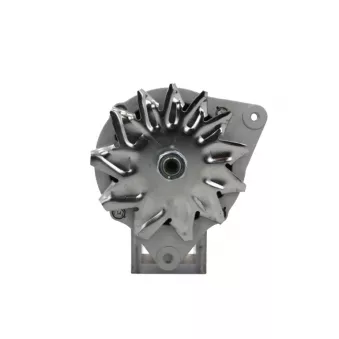 Alternateur BV PSH 595.005.070.090