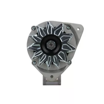 Alternateur BV PSH 595.006.090.010