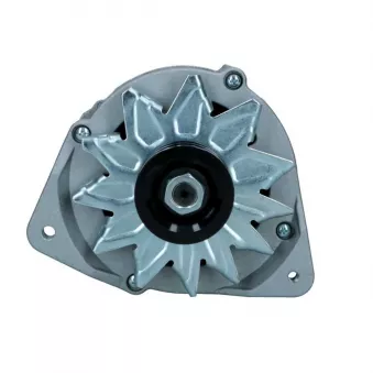 Alternateur BV PSH 595.006.090.018