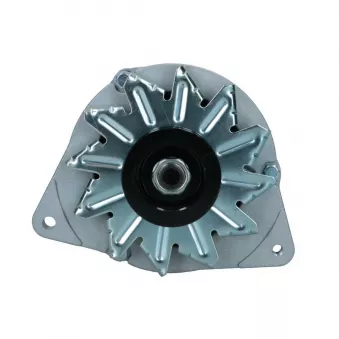 Alternateur BV PSH 595.008.070.108