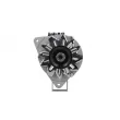 Alternateur BV PSH 595.009.070.100 - Visuel 1