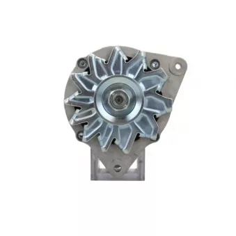 Alternateur BV PSH 595.011.070.311