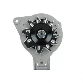 Alternateur BV PSH 595.013.034.100