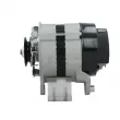 Alternateur BV PSH 595.013.034.100 - Visuel 2