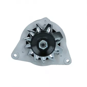 Alternateur BV PSH 595.013.034.108