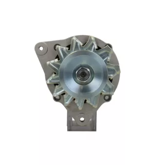Alternateur BV PSH 595.013.055.311