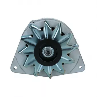 Alternateur BV PSH 595.017.065.108