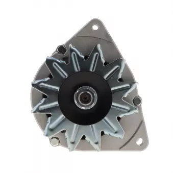 Alternateur BV PSH 595.023.070.058