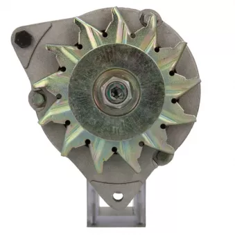 Alternateur BV PSH 595.024.055.325