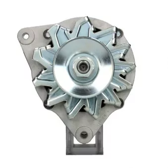 Alternateur BV PSH 595.024.070.312