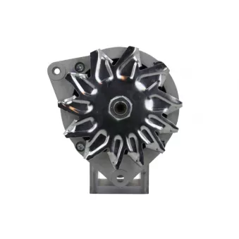 Alternateur BV PSH 595.030.065.090