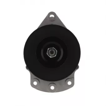 Alternateur BV PSH 595.055.070.058