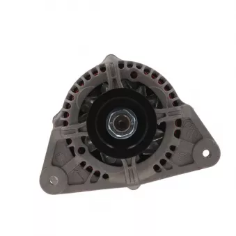 Alternateur BV PSH 595.502.070.058