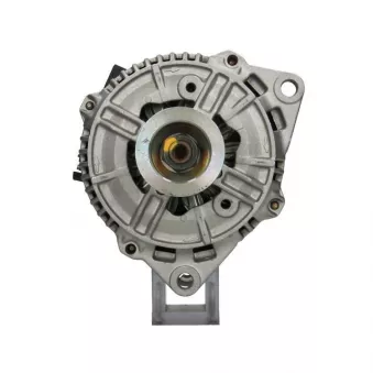 Alternateur BV PSH 595.503.090.215