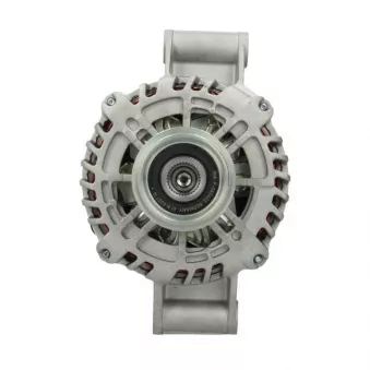 Alternateur BV PSH 595.519.124.020
