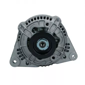 Alternateur BV PSH 595.536.070.018