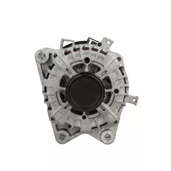 Alternateur BV PSH 595.924.250.500