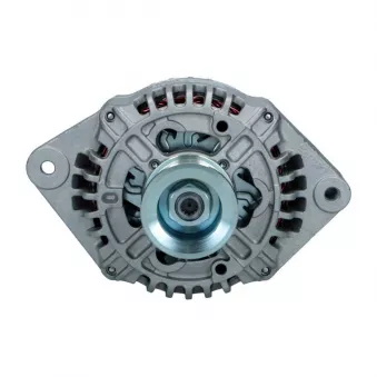 Alternateur BV PSH 615.003.095.313