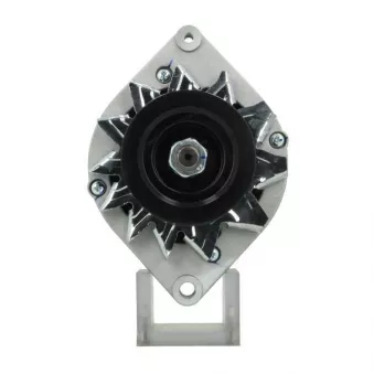 Alternateur BV PSH 635.004.120.010