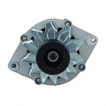Alternateur BV PSH 635.004.120.018