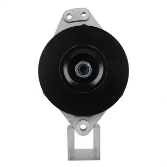 Alternateur BV PSH 635.005.055.110