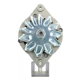 Alternateur BV PSH 635.005.065.311