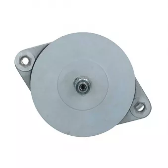 Alternateur BV PSH 635.007.135.018