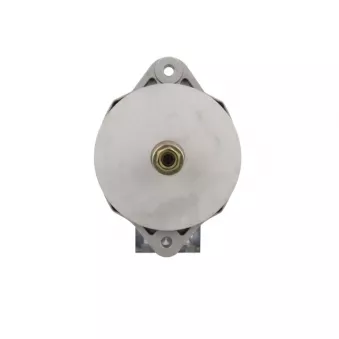 Alternateur BV PSH 645.006.135.038
